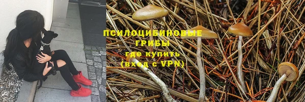 гидра Навашино