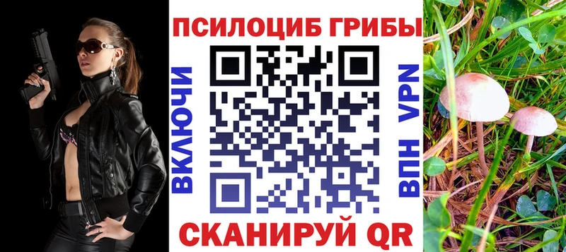 Купить закладки  Сосновоборск  Псилоцибиновые грибы ЛСД 